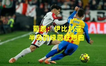 葡超：伊比利亚半岛的绿茵狂想曲